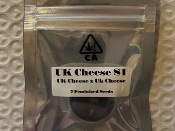 Venta: UK Cheese S1 from CSI Humboldt