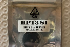 Sell: Hash Plant 13 S1 from CSI Humboldt