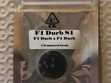 Venta: F1 Durb S1 from CSI Humboldt