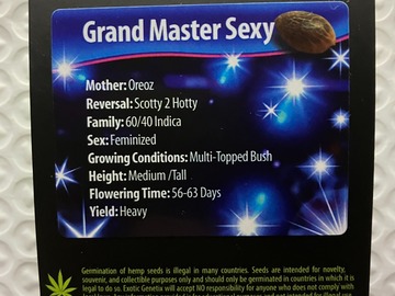 Vente: Grand Master Sexy from Exotic Genetix