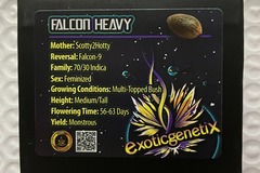 Sell: Falcon Heavy from Exotic Genetix