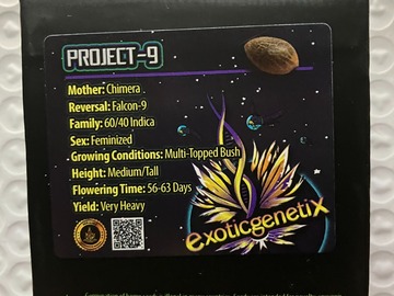 Venta: Project 9 from Exotic Genetix