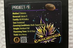 Vente: Project 9 from Exotic Genetix