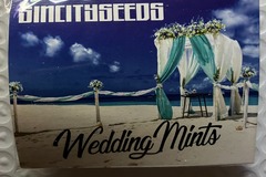Sell: Wedding Mints from Sin City