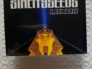 Venta: Luxor from Sin City