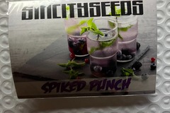 Vente: Spiked Punch from Sin City