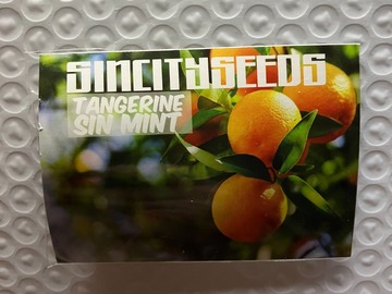 Vente: Tangerine SinMint from Sin City