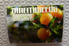 Venta: Tangerine SinMint from Sin City
