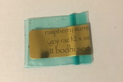 Vente: Bodhi Seeds - Raspberry Sunshine