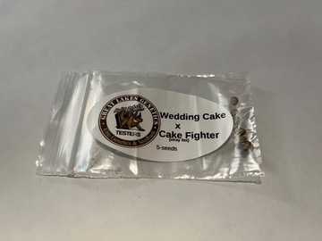 Sell: Bad Dawg Genetics - Wedding Cake Bx