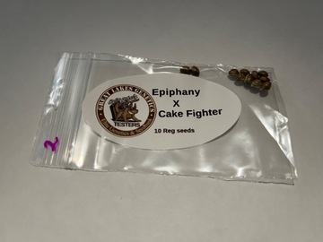 Sell: Bad Dawg Genetics - Epiphany x Cake Fighter