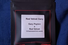 Sell: RED VELVET GARY (Gary Payton x Red Velvet)