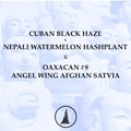 Sell: CBH x Nepali WMHP x Oaxacan x Angel Wing Afghan Sativa