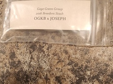 Venta: Gage Green Group OGKB x JOSEPH , Greatful Breath !