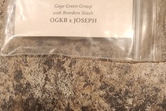 Sell: Gage Green Group OGKB x JOSEPH , Greatful Breath !