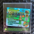 Sell: Cosmopolis from Exotic Genetix