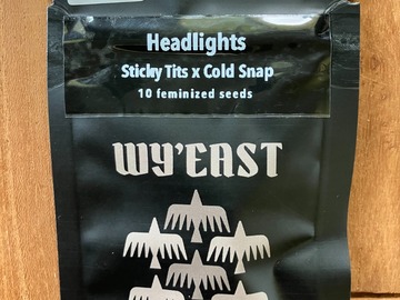 Sell: Headlights from Wyeast
