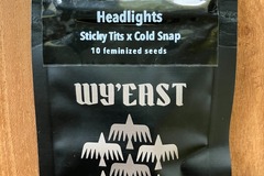 Sell: Headlights from Wyeast