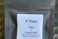 Vente: 8" Bagel from LIT Farms