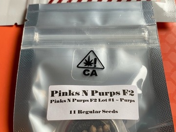Vente: POTET - PINKS N PURPS F2 #1 PURPS
