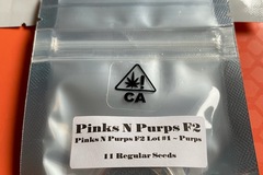 Vente: POTET - PINKS N PURPS F2 #1 PURPS