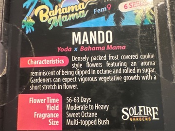Vente: Solfire - Mando (yoda x Bahama mama)