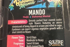 Venta: Solfire - Mando (yoda x Bahama mama)