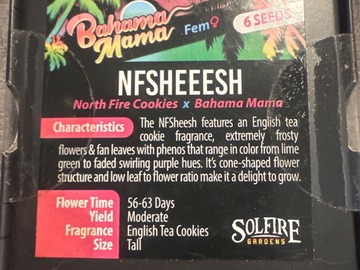 Sell: Solfire - Nfsheeesh (north fire cookies x Bahama mama)