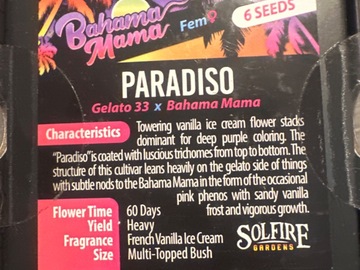 Venta: Solfire - Paradiso (gelato 33 x Bahama mama)