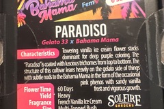 Venta: Solfire - Paradiso (gelato 33 x Bahama mama)