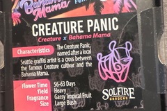 Vente: Solfire - Creature panic (creature x Bahama mama)