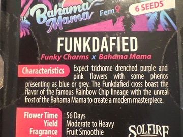 Venta: Solfire - Funkdafied (funky charms x Bahama mama)