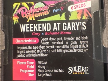 Venta: Solfire - weekend at Gary’s (Gary x Bahama mama)