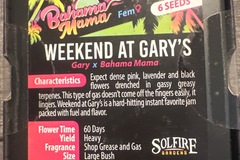 Sell: Solfire - weekend at Gary’s (Gary x Bahama mama)