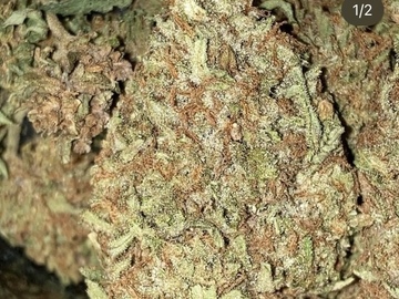 Venta: Fossil Fuel BX by: TwinFlameSeedCo.