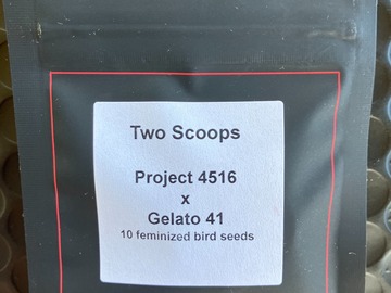 Vente: Two Scoops from LIT Farms
