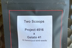 Sell: Two Scoops from LIT Farms
