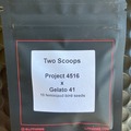 Sell: Two Scoops from LIT Farms