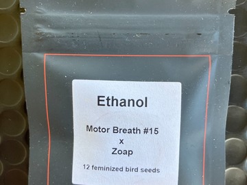 Sell: Ethanol from LIT Farms
