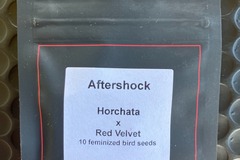 Venta: Aftershock from LIT Farms