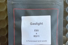 Sell: Gaslight from LIT Farms