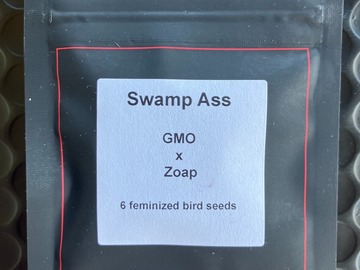Venta: Swamp Ass from LIT Farms