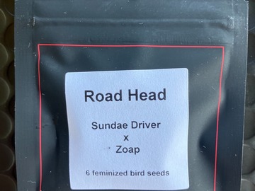 Sell: Road Head from LIT Farms