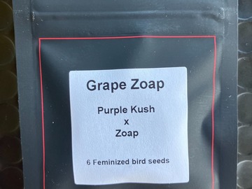 Sell: Grape Zoap from LIT Farms