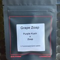 Vente: Grape Zoap from LIT Farms