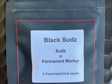 Sell: Black Sudz from LIT Farms