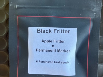 Sell: Black Fritter from LIT Farms