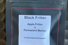 Vente: Black Fritter from LIT Farms