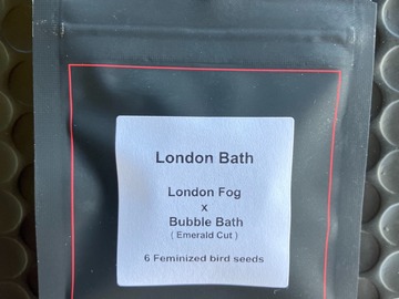 Sell: London Bath from LIT Farms