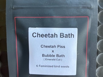 Vente: Cheetah Bath from LIT Farms